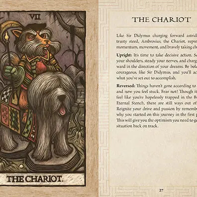 Labyrinth Tarot Deck and Guidebook