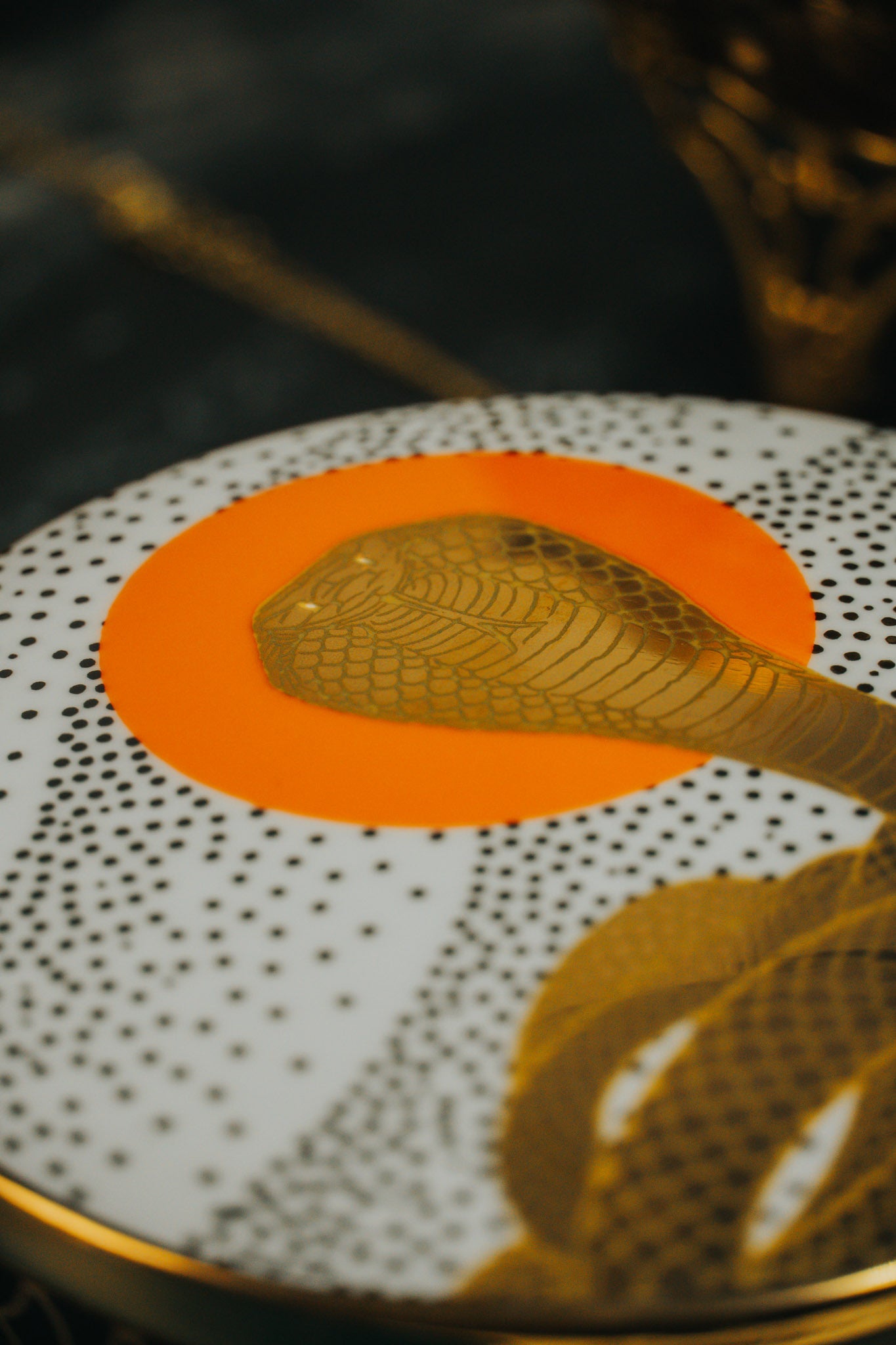 Ceramic Trinket Box - Cobra Rising