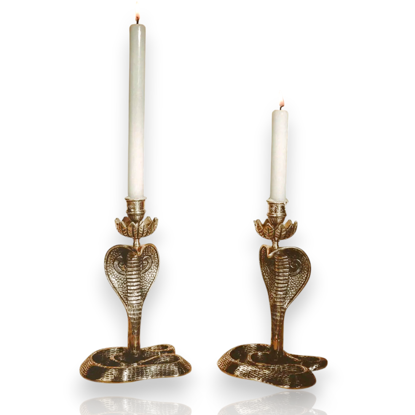Cobra Brass Candle Holder