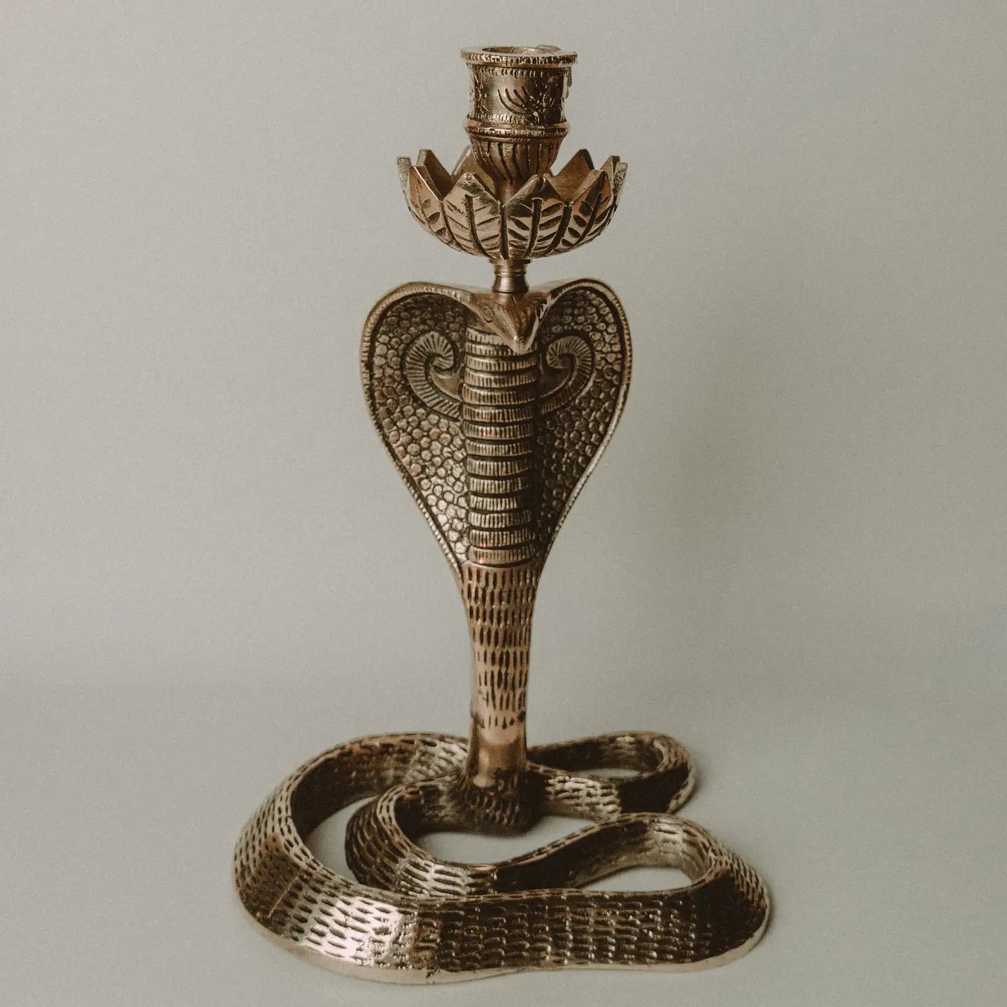 Cobra Brass Candle Holder