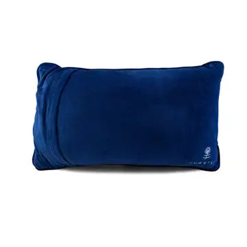 High-End Gay Needlepoint Pillow