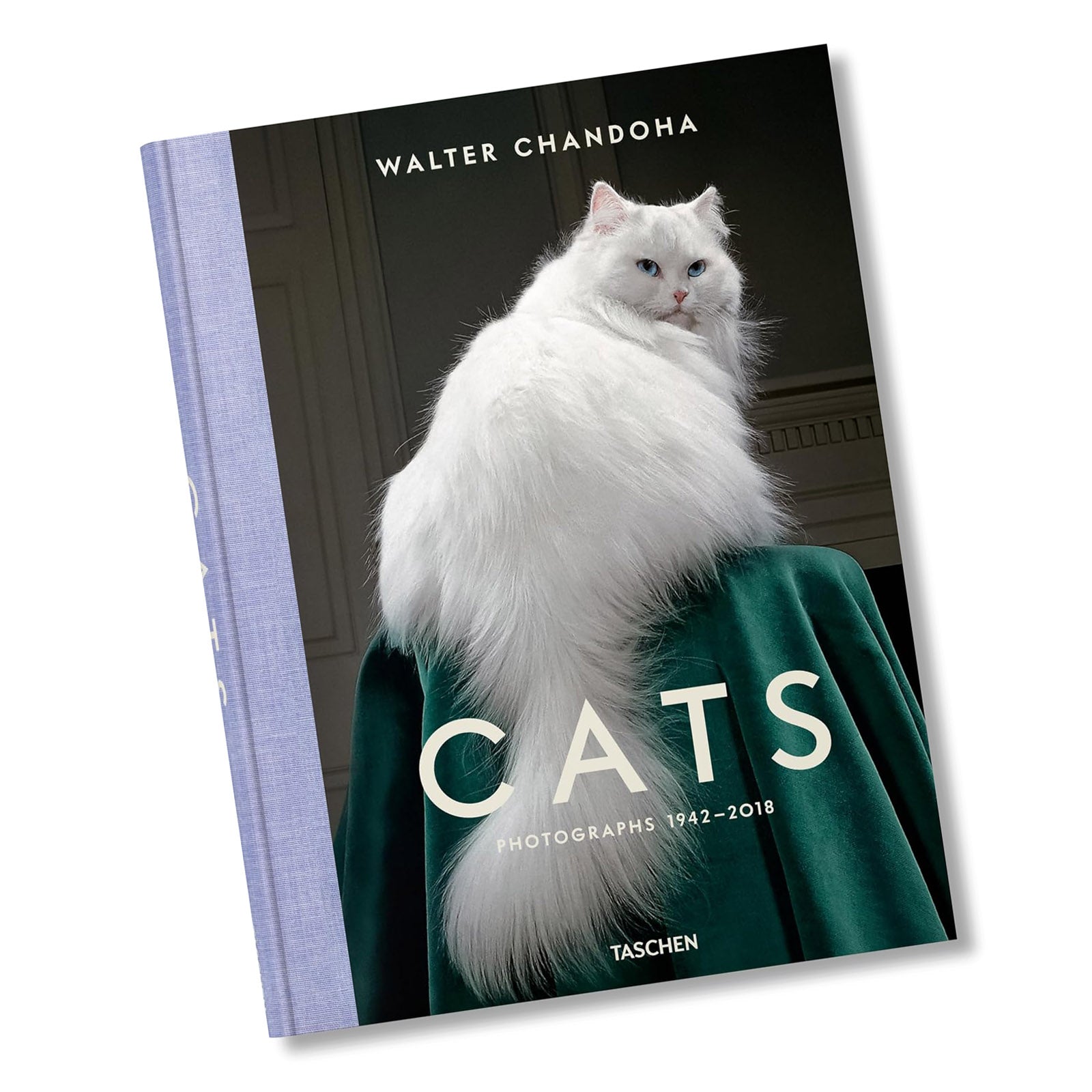 Walter Chandoha Cats Photographs