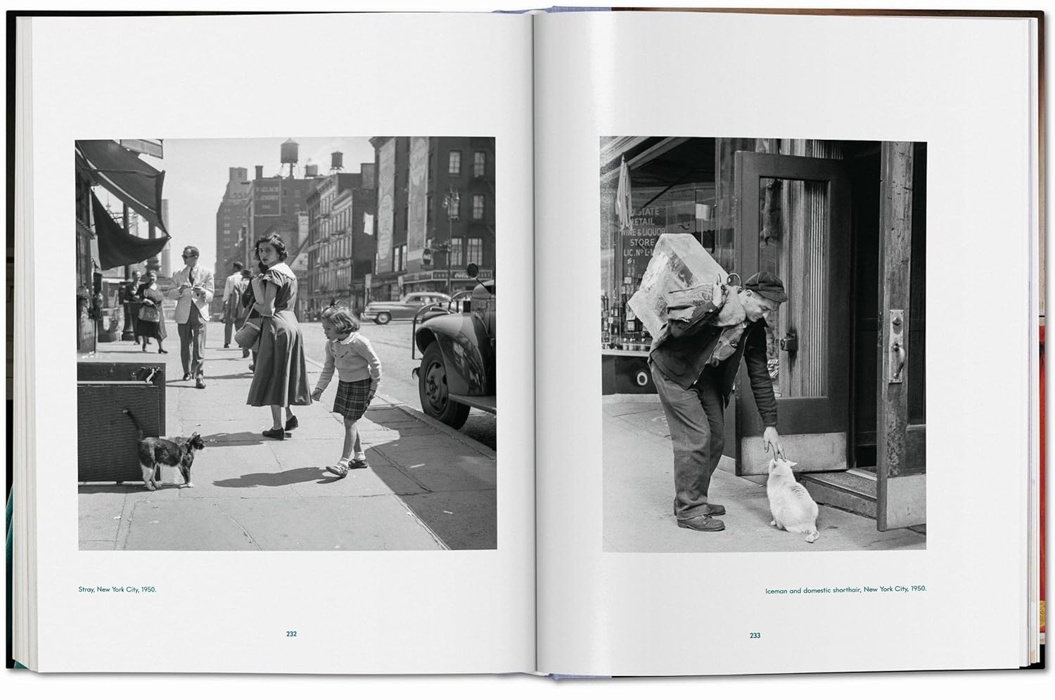 Walter Chandoha Cats Photographs 1942–2018 LG