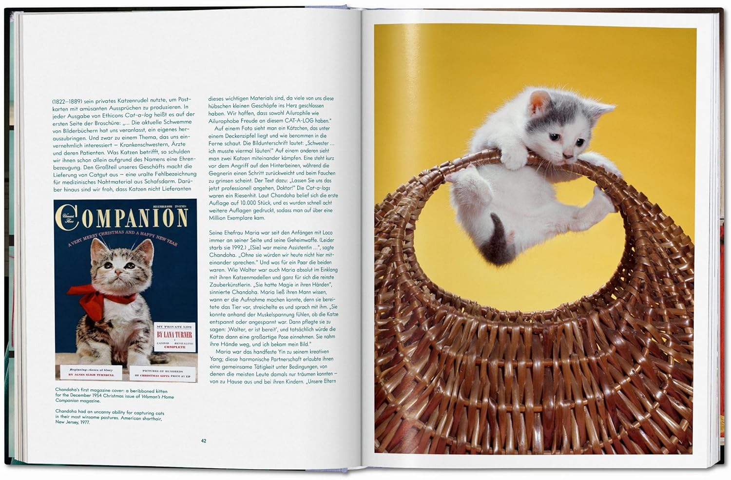 Walter Chandoha Cats Photographs 1942–2018 LG