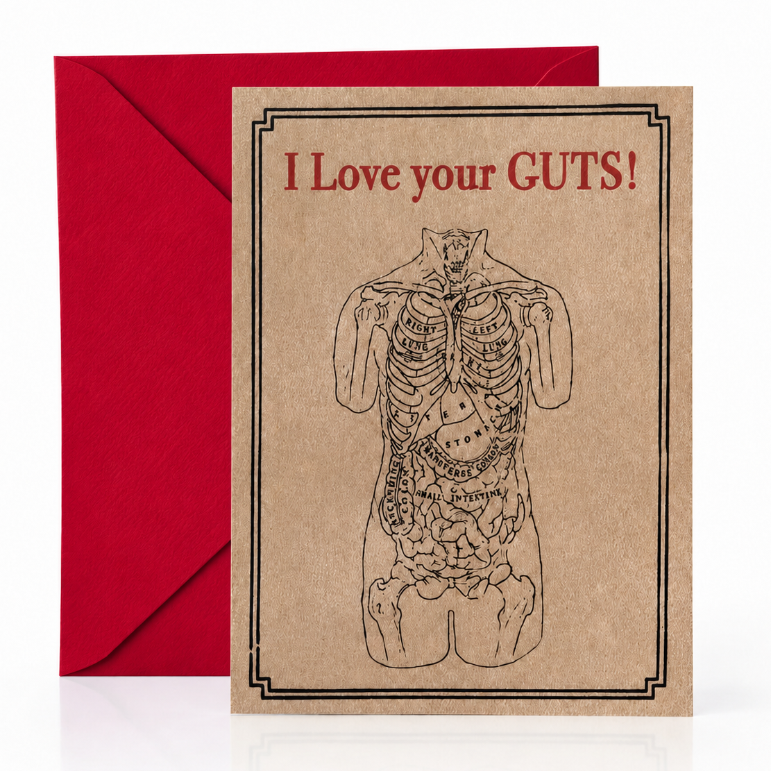 Wood Folding Card - Anatomy Love