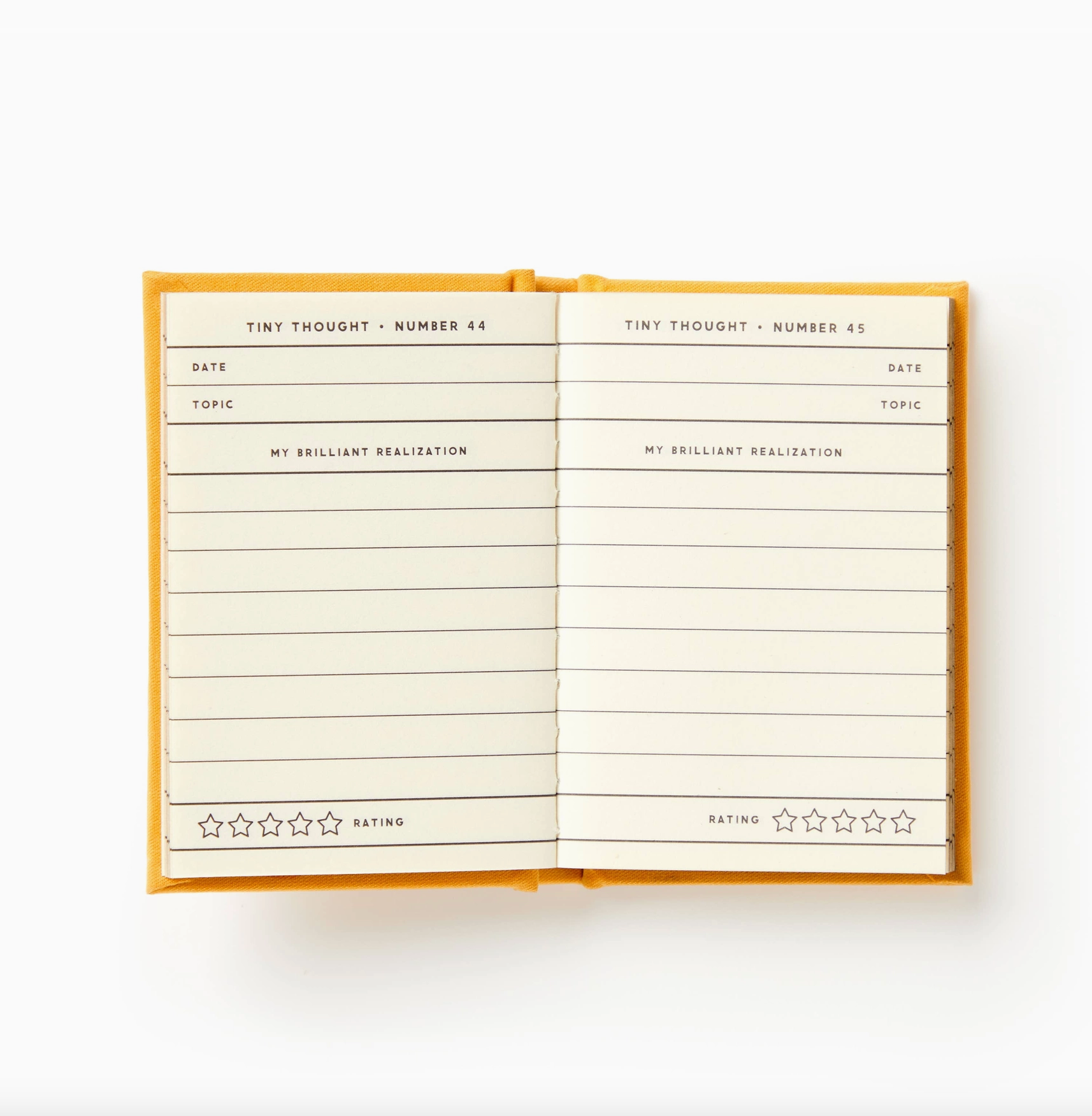 A Tiny Diary For Tiny Thoughts