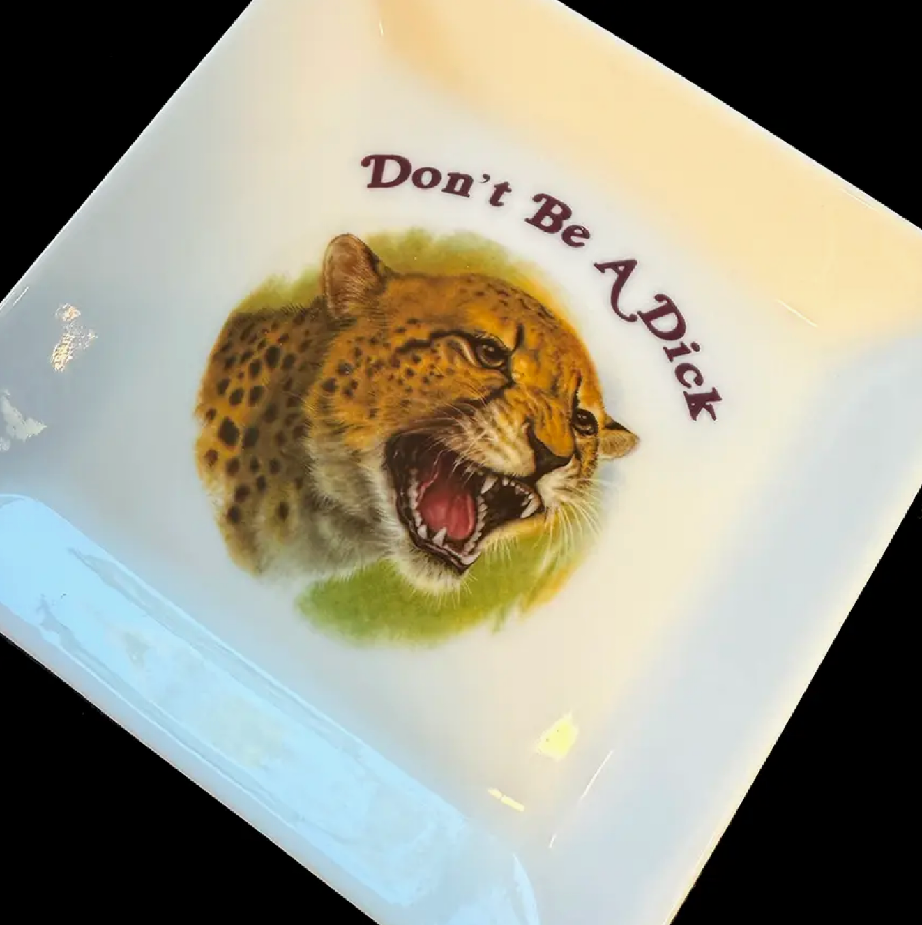 Don't Be A Dick Cat Trinket Tray