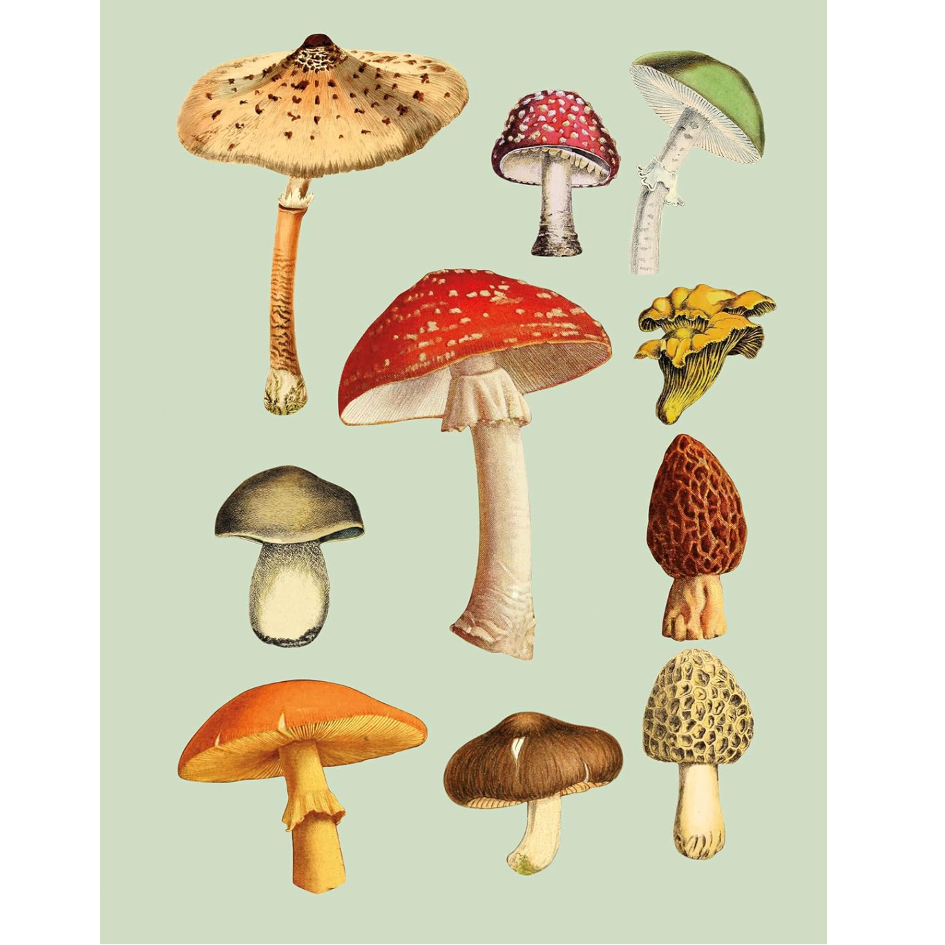 The Antiquarian Sticker Book