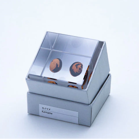 Japanese Sola Cubes