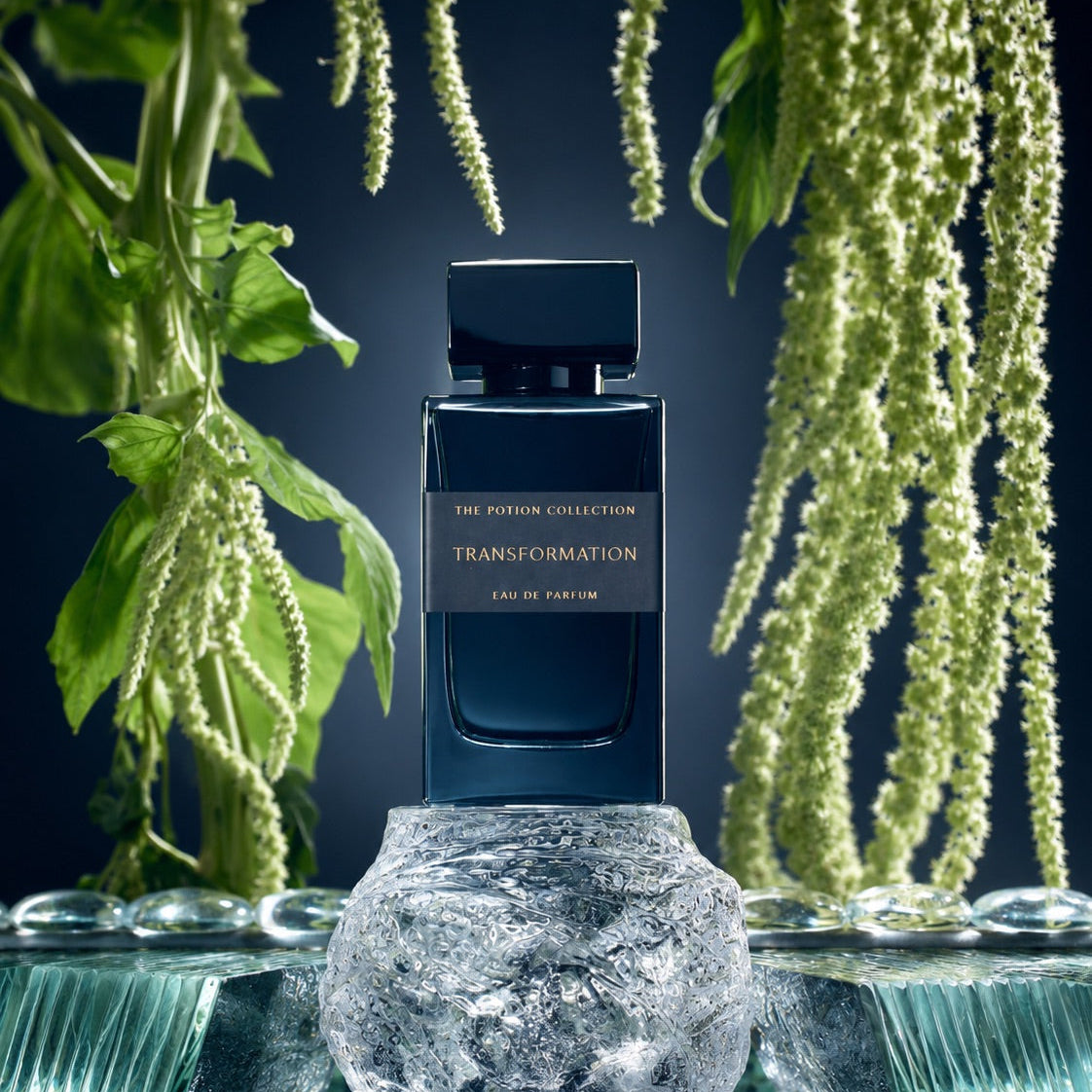 A dark blue rectangular perfume bottle labeled 'THE PORFIERE COLLECTION TRANSFORMATION EAU DE PARFUM' stands centered on a clear glass pedestal. The bottle is framed by hanging green plant stems and leaves against a dark blue background, with reflective glass surfaces below.