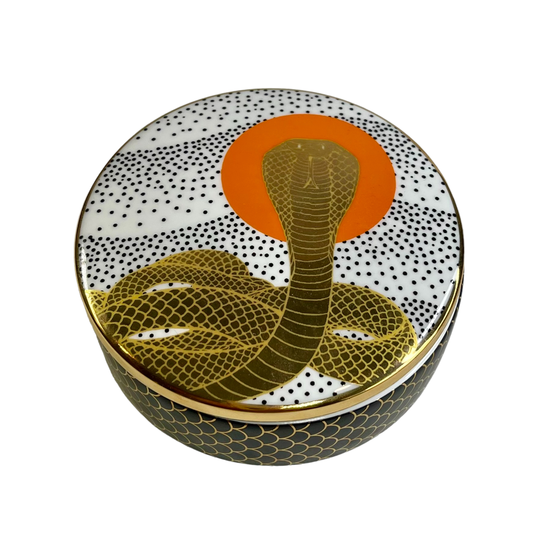 Ceramic Trinket Box - Cobra Rising
