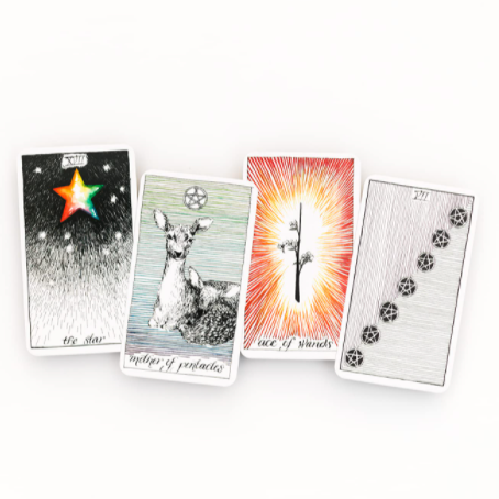 The Wild Unknown Pocket Tarot
