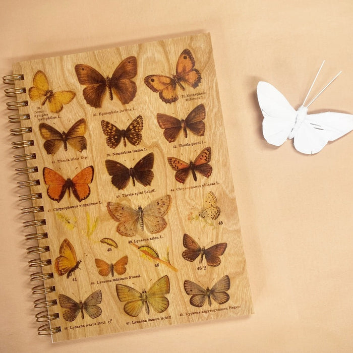 Wood Notebook Butterfly Specimen