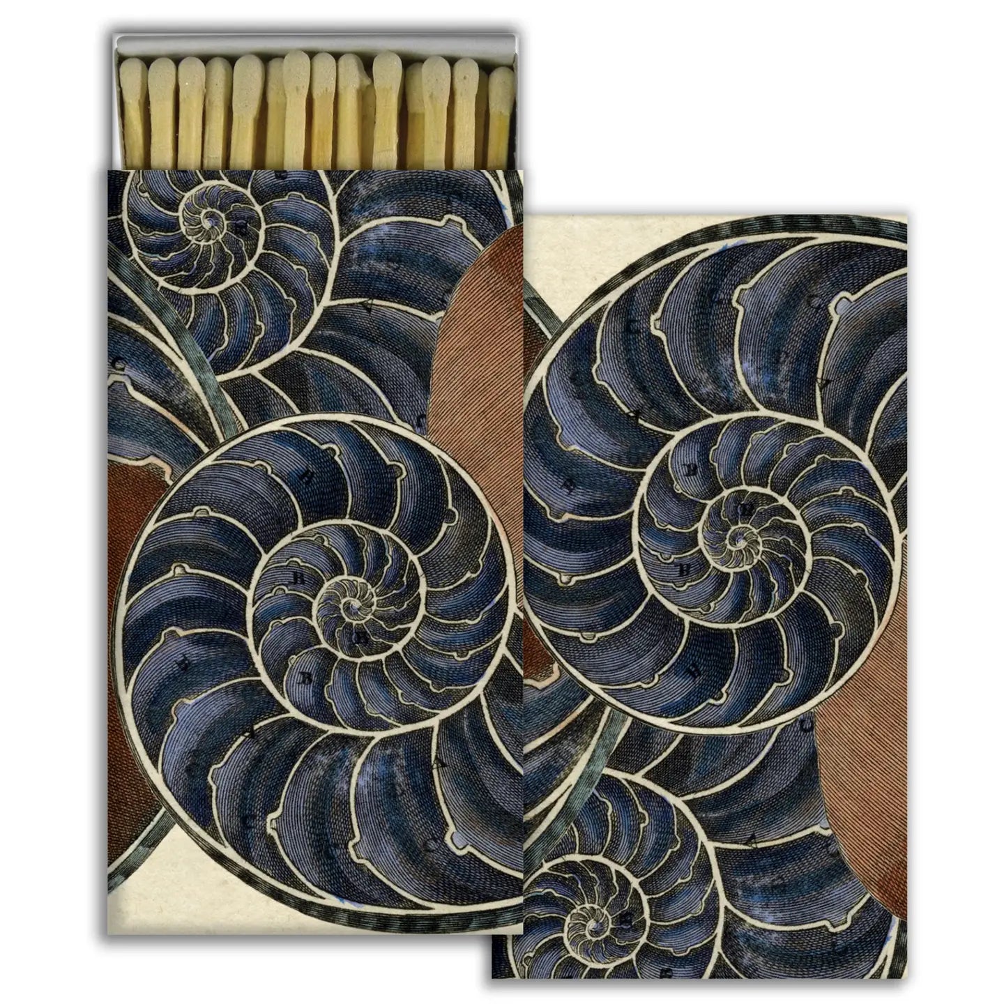 Nautilus Matches