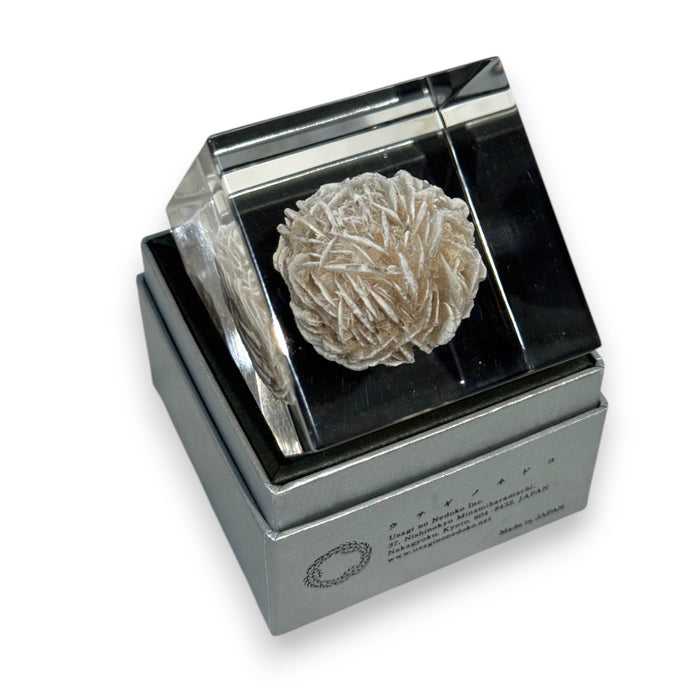 Japanese Sola Cubes