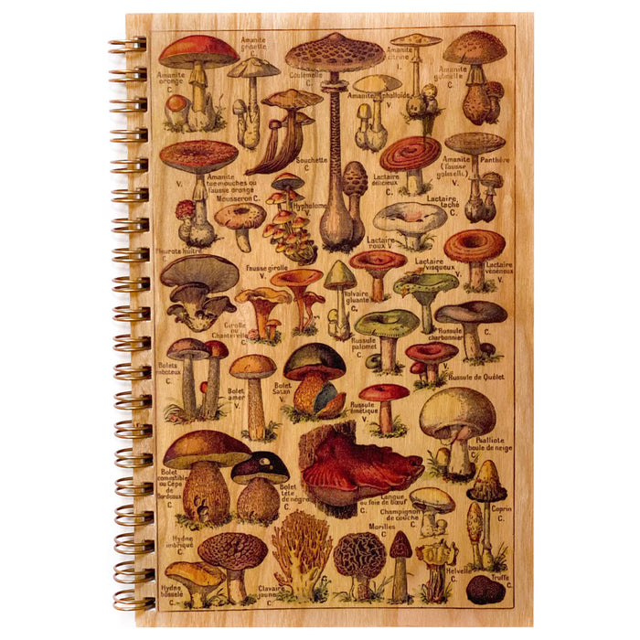 Mushrooms Notebook