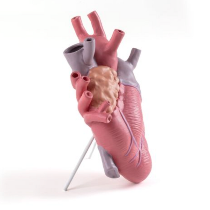 Heart Vase 