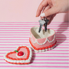 Cake Storage Box