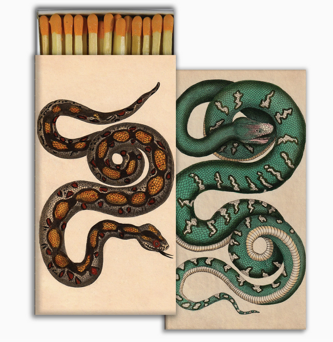 Rare Snake Matches