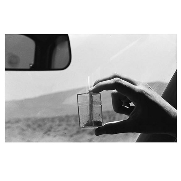 Dennis Hopper In Dreams