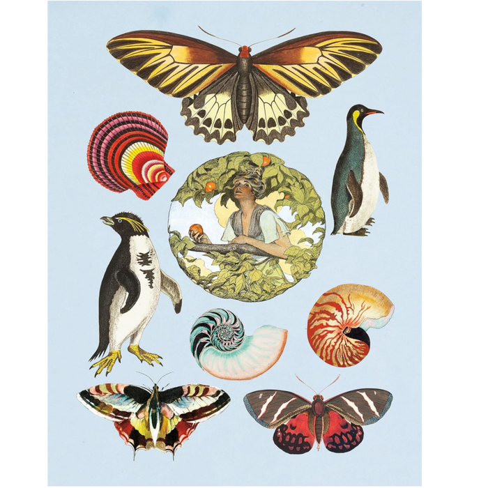 The Antiquarian Sticker Book