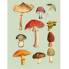 The Antiquarian Sticker Book