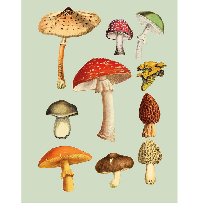 The Antiquarian Sticker Book