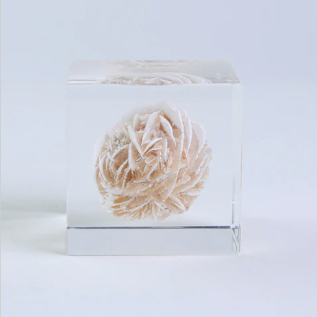 Japanese Sola Cubes