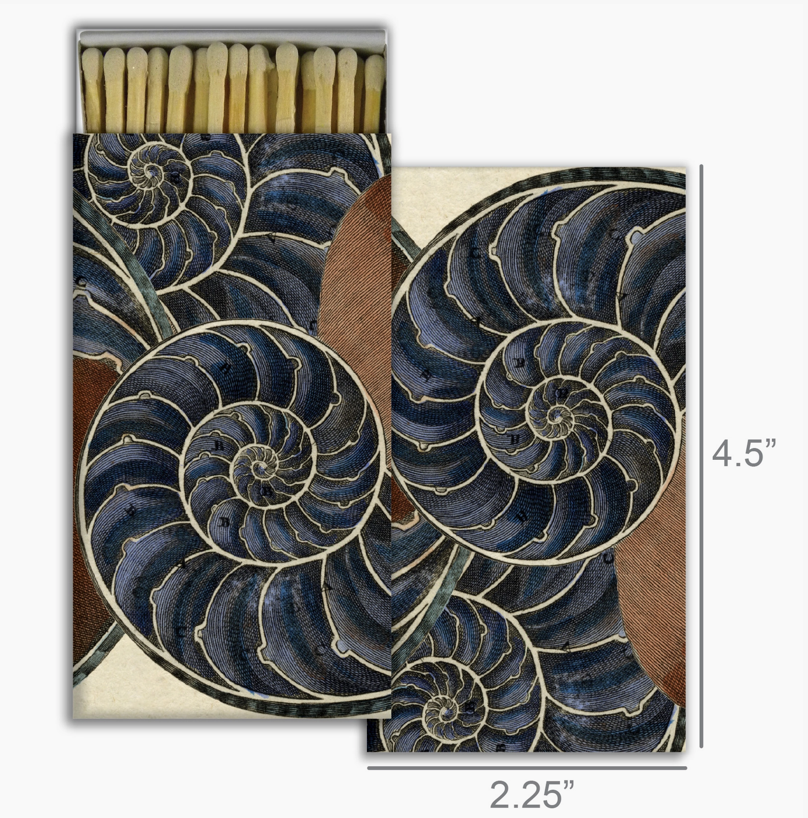 Nautilus Matches