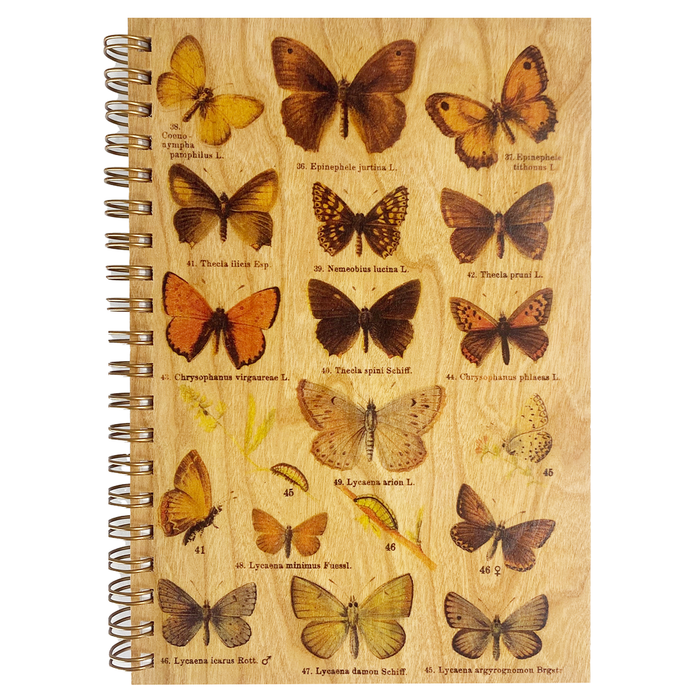 Wood Notebook Butterfly Specimen
