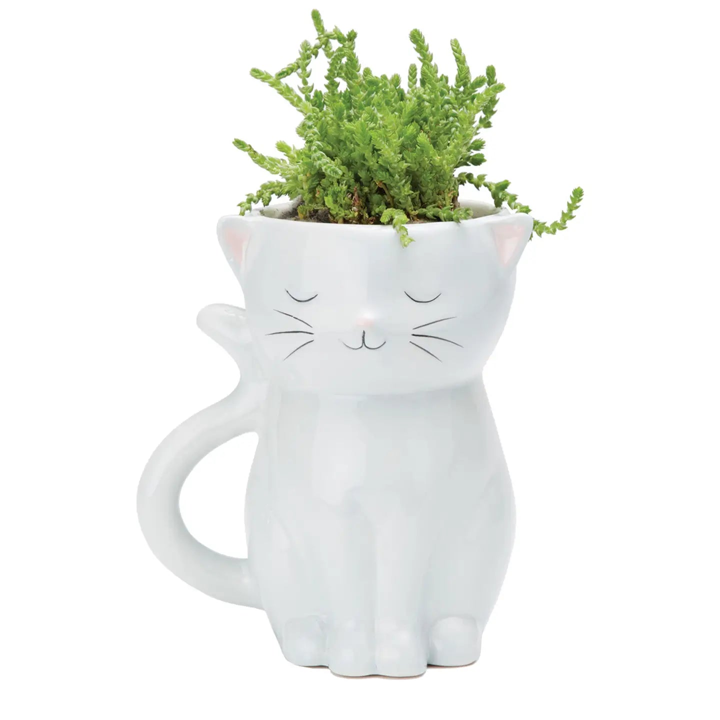 Sweetie Cat Planter