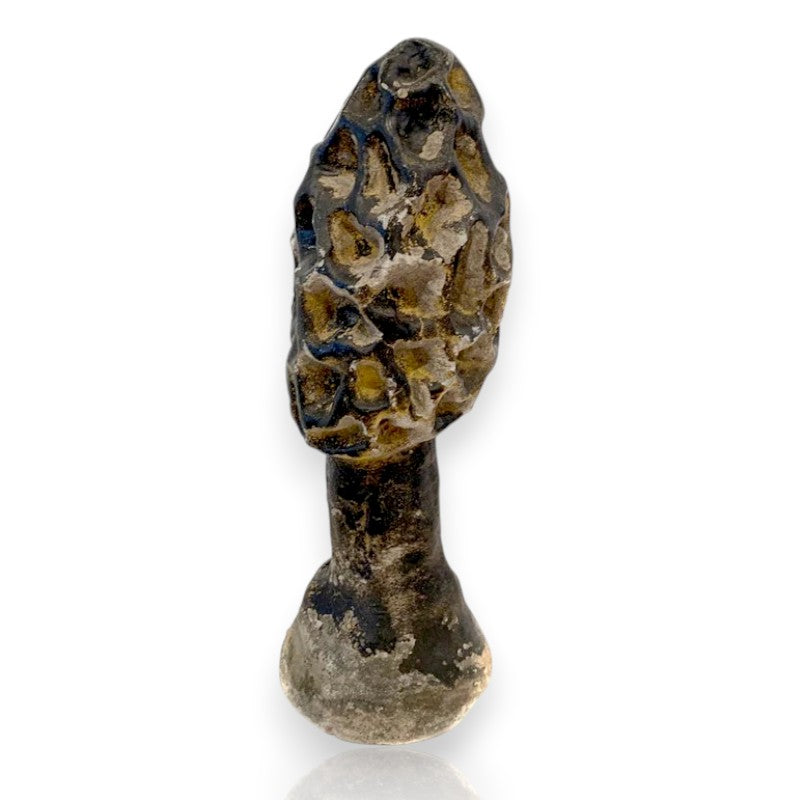 Concrete Antique Morel Mushroom