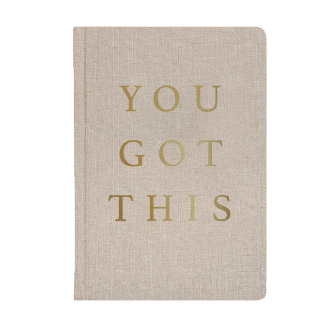 You Got This Journal