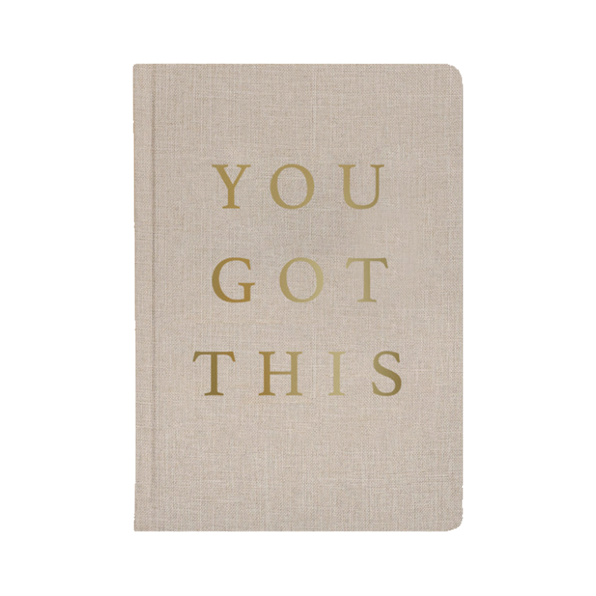You Got This Journal