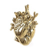 Anatomical Heart Vase Gold