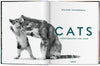 Cats: Photographs 1942 - 2018