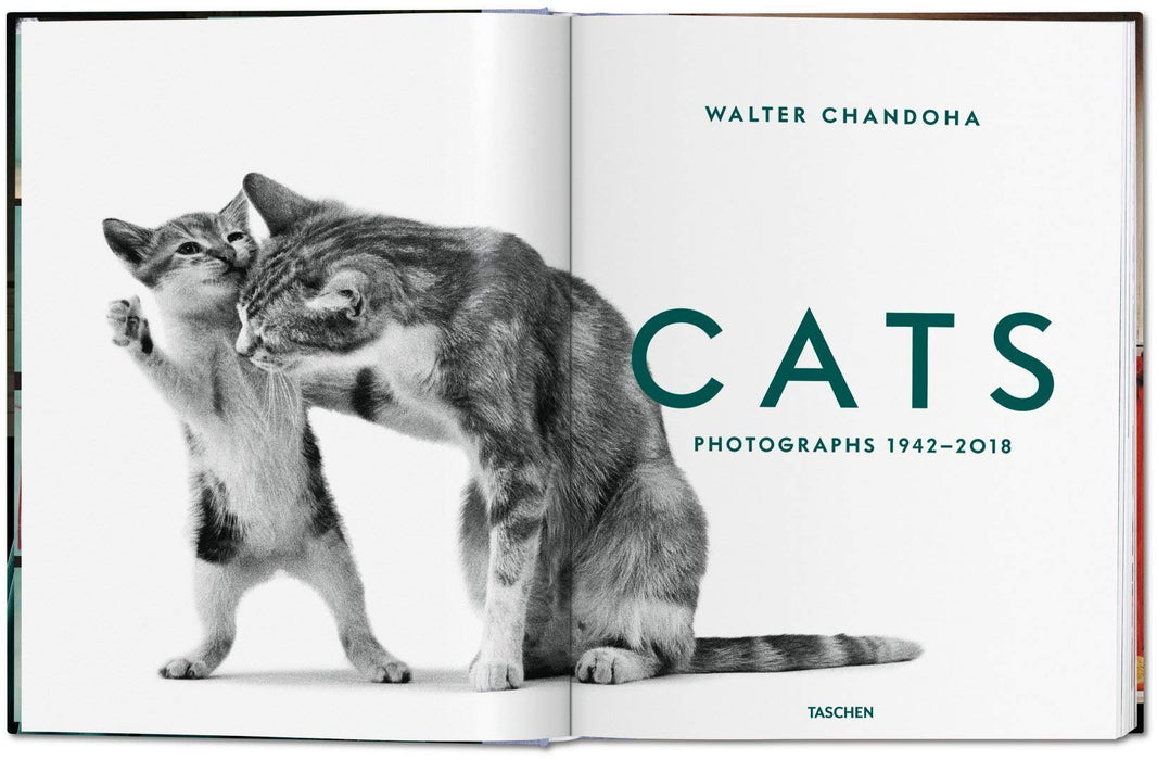 Cats: Photographs 1942 - 2018
