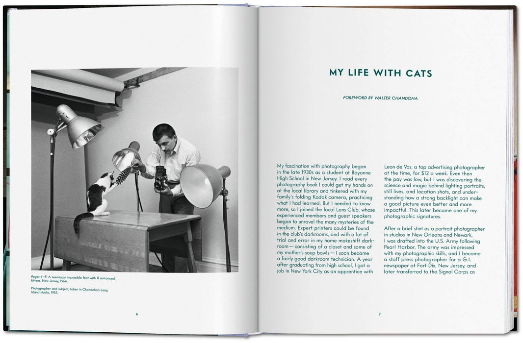 Cats: Photographs 1942 - 2018
