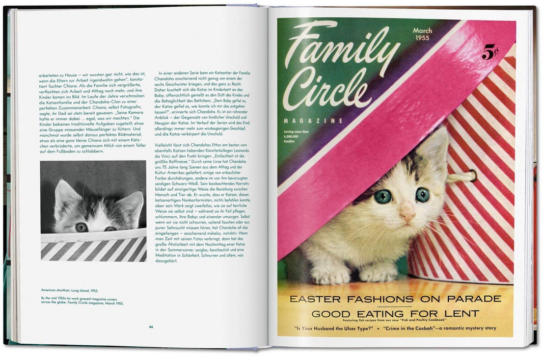 Cats: Photographs 1942 - 2018