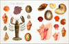 DK Sticker Anthologies
