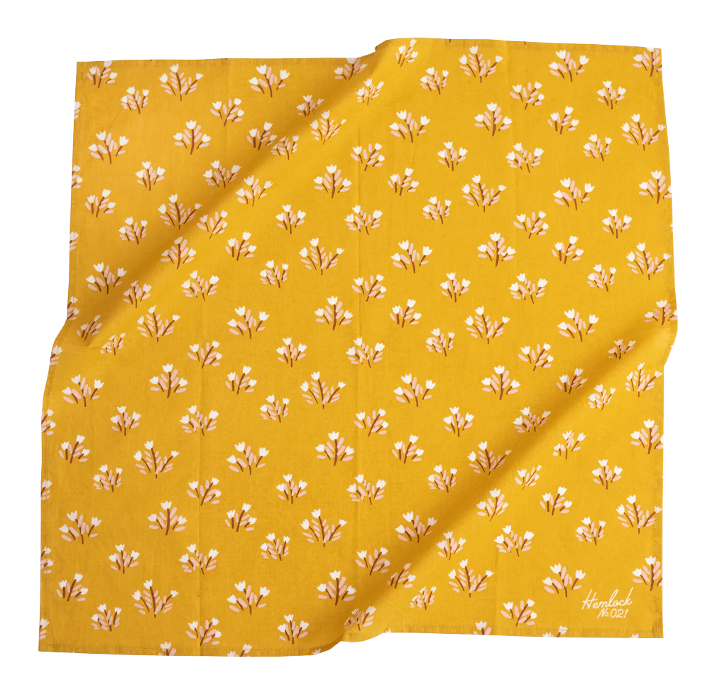 Hand Drawn Bandanas