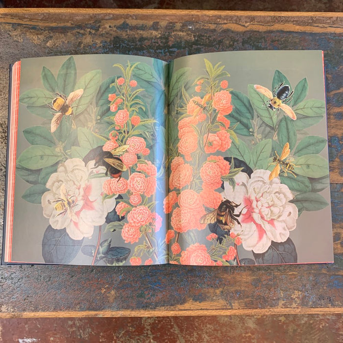DK Sticker Anthologies