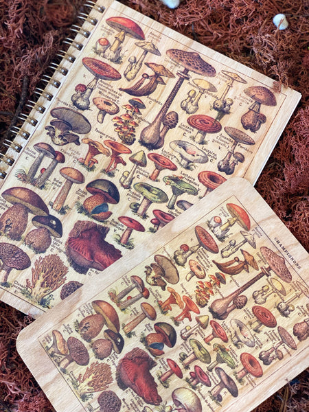 Mushrooms Notebook