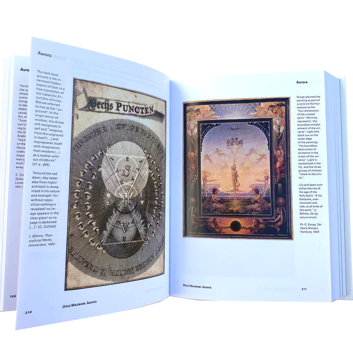 Alchemy & Mysticism Book