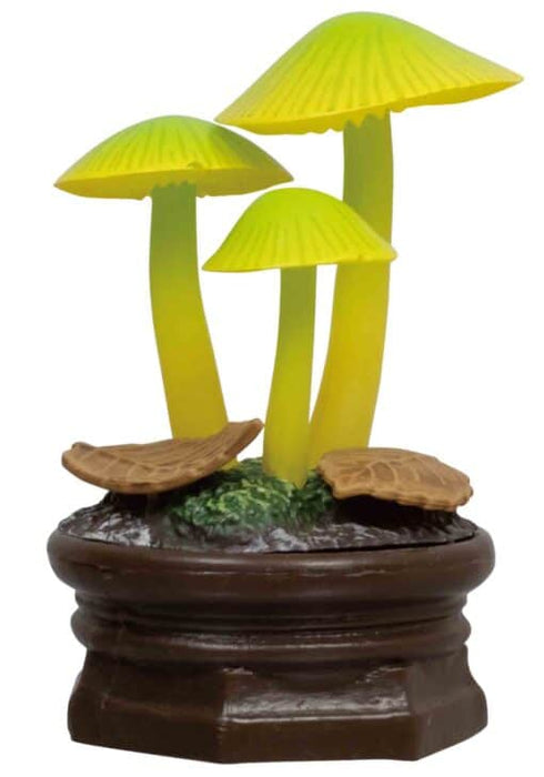 Mushroom Garden Blind Box
