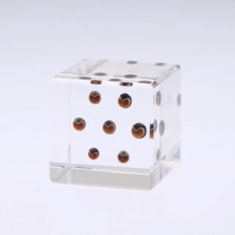 Japanese Sola Cubes
