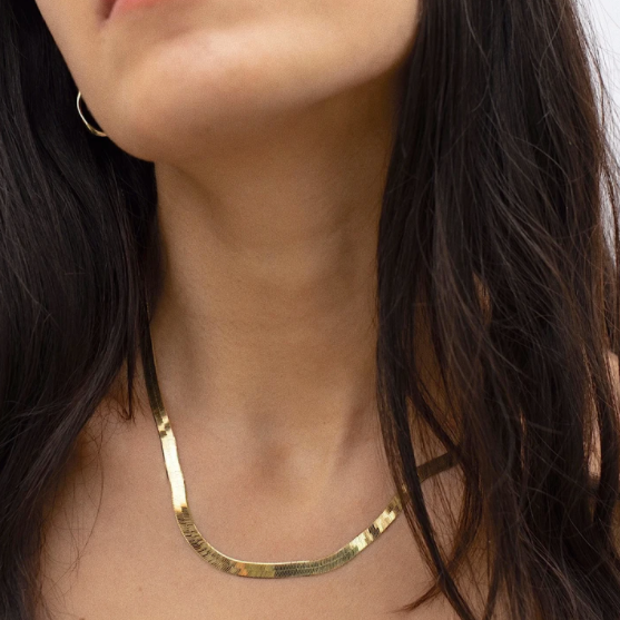 Sleek Herringbone Necklace