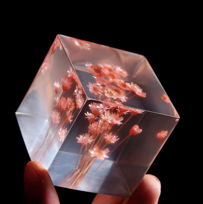 Preserved Botanical Crystal Cubes
