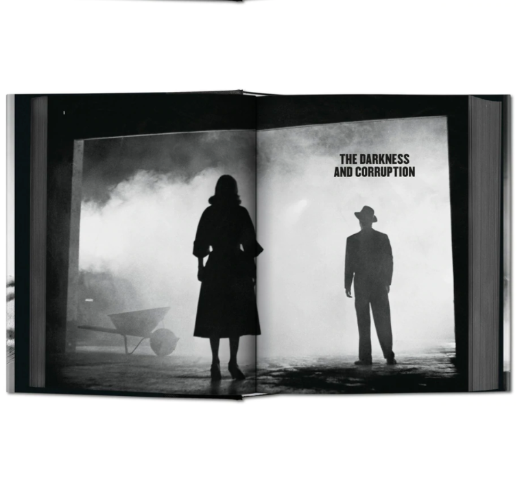 Film Noir Book