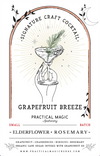 Practical Magic Craft Cocktail Kits